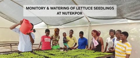EMPOWERING YOUTH, TRANSFORMING AGRICULTURE