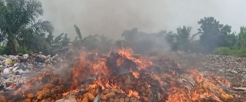 195 Bags of Seized Cannabis Destroyed.